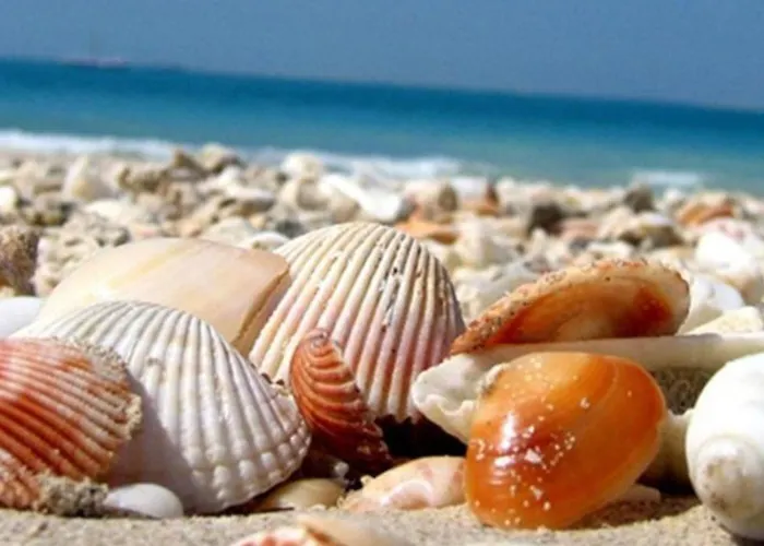 Apartman Nazli - 2 Min De Plaja