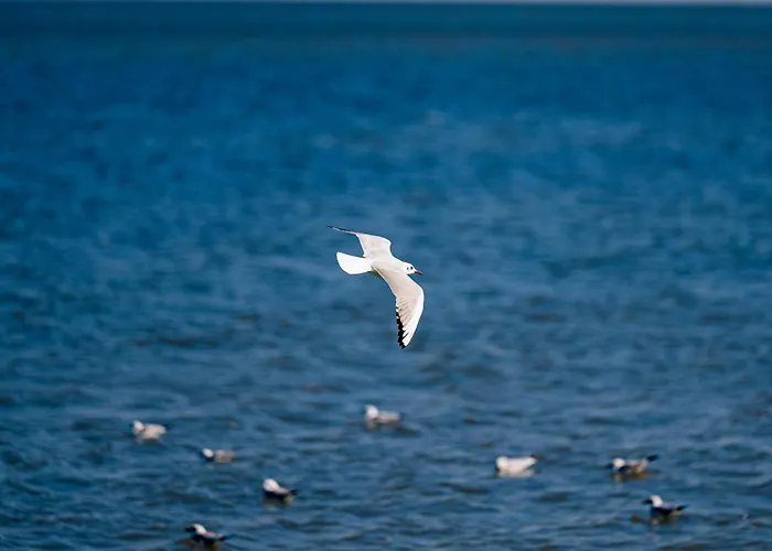 Nazli - 2 Min De Plaja Észak-Eforie